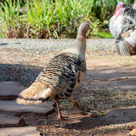Ferme Sidi Safou & Spa มาร์ราเกช ภายนอก รูปภาพ