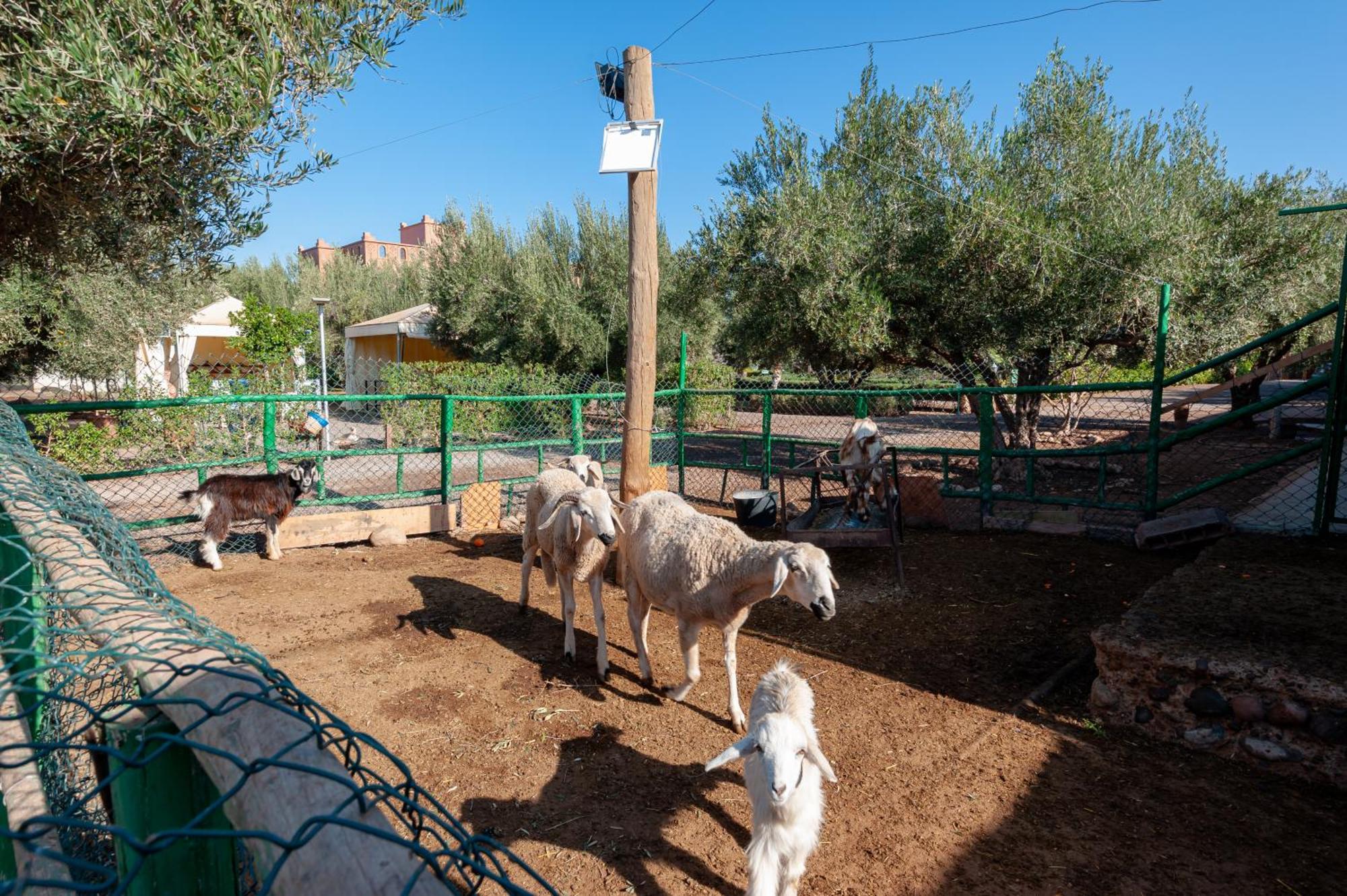 Ferme Sidi Safou & Spa มาร์ราเกช ภายนอก รูปภาพ