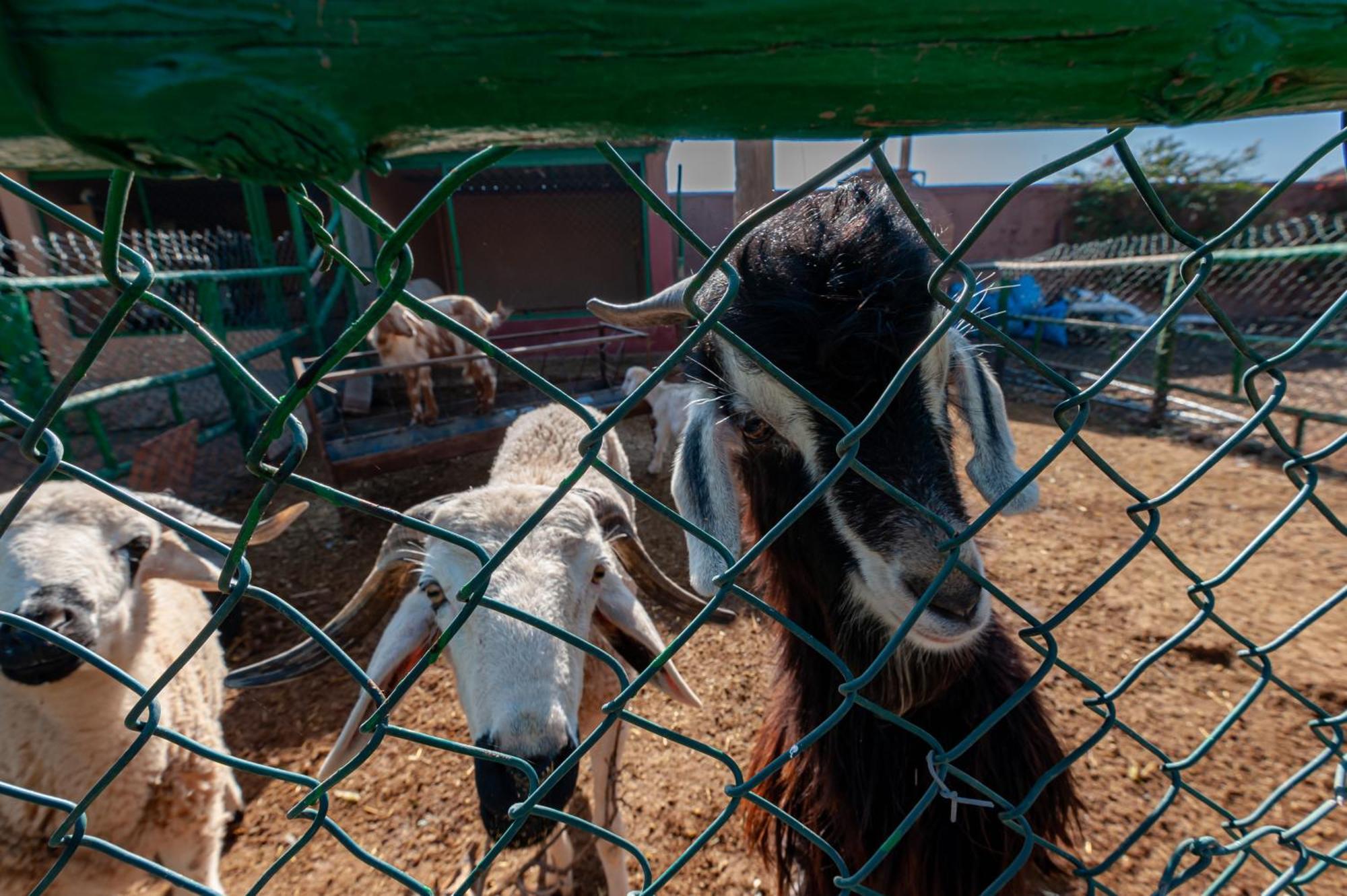 Ferme Sidi Safou & Spa มาร์ราเกช ภายนอก รูปภาพ