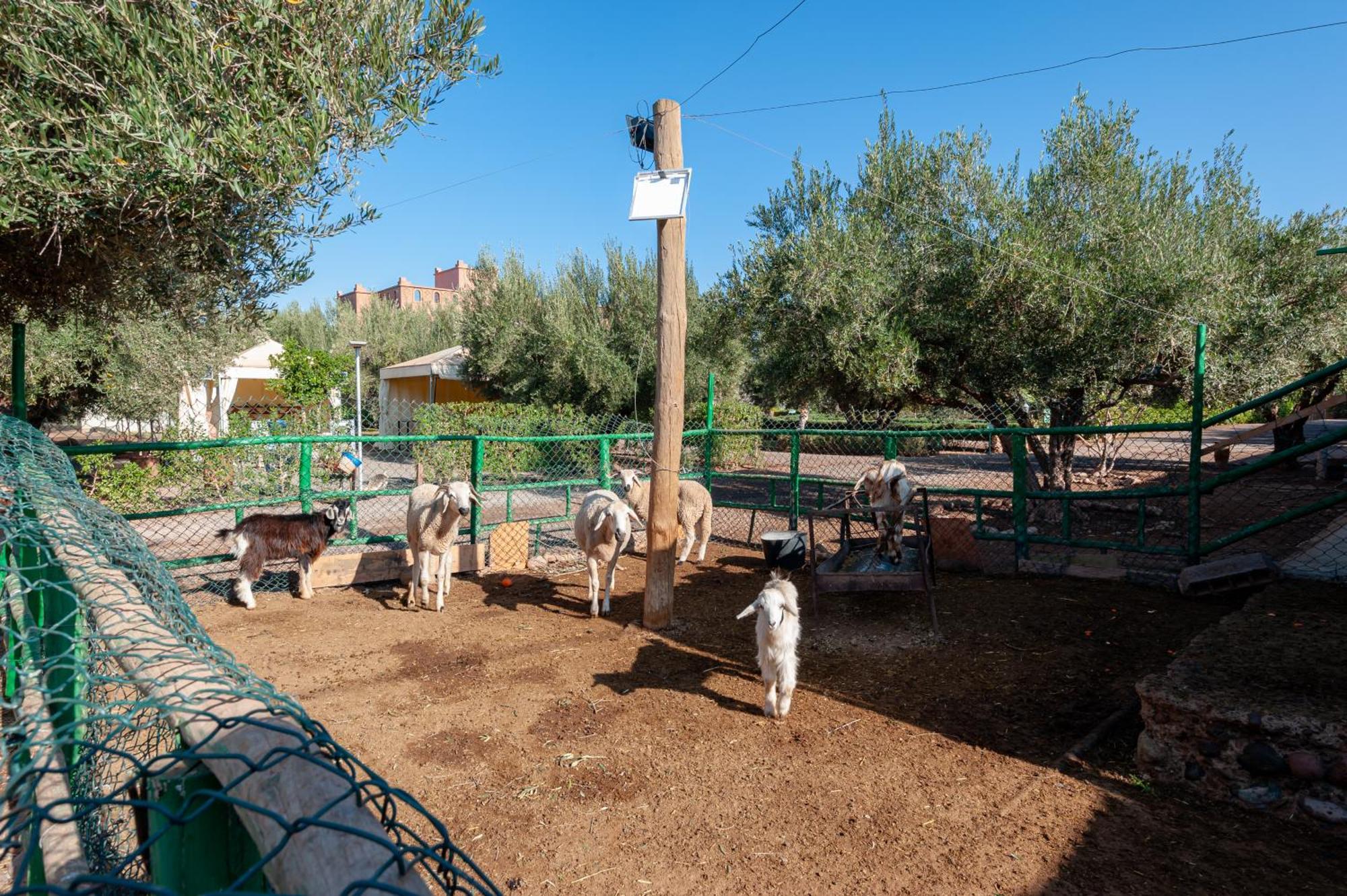 Ferme Sidi Safou & Spa มาร์ราเกช ภายนอก รูปภาพ