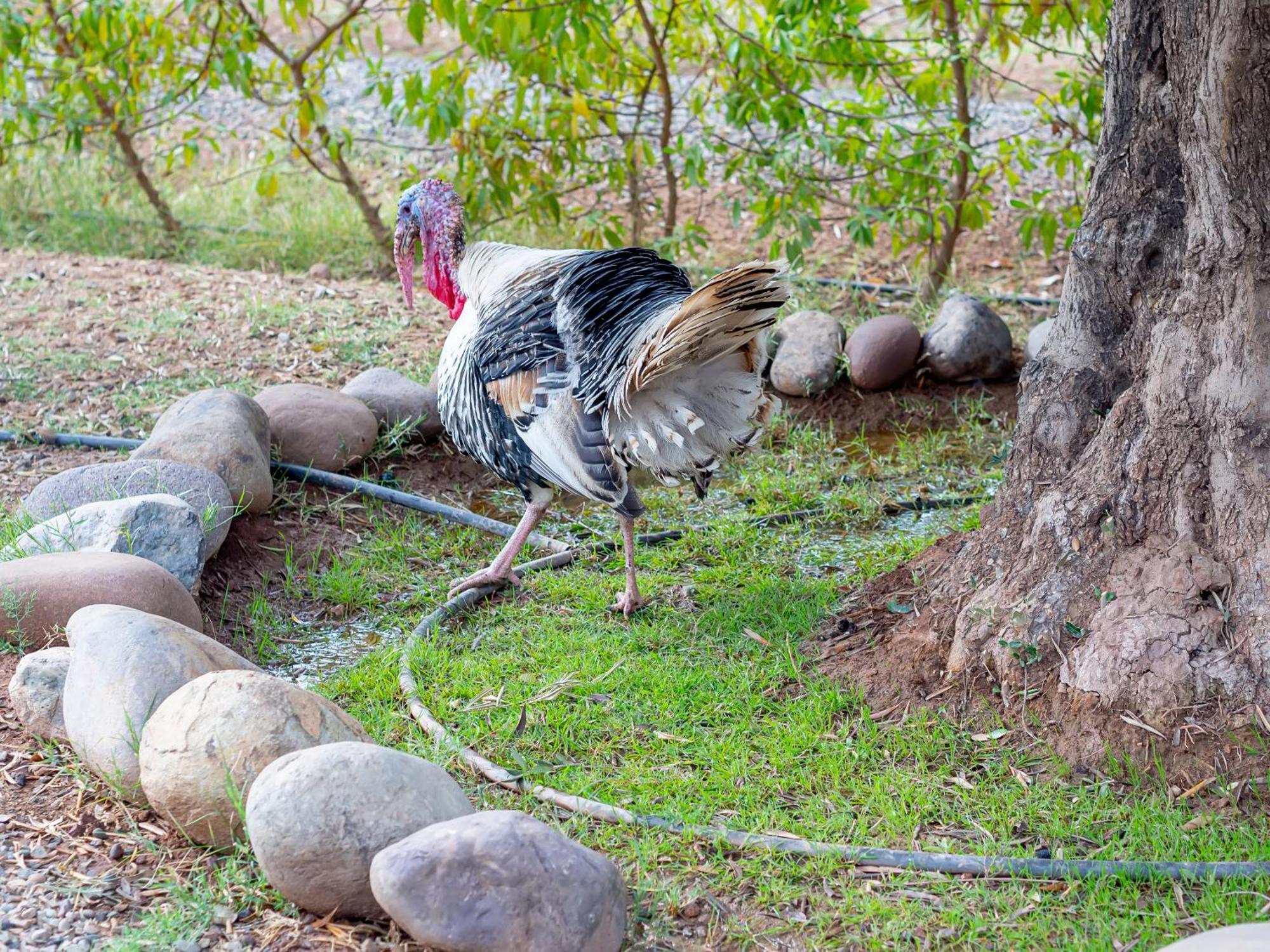 Ferme Sidi Safou & Spa มาร์ราเกช ภายนอก รูปภาพ