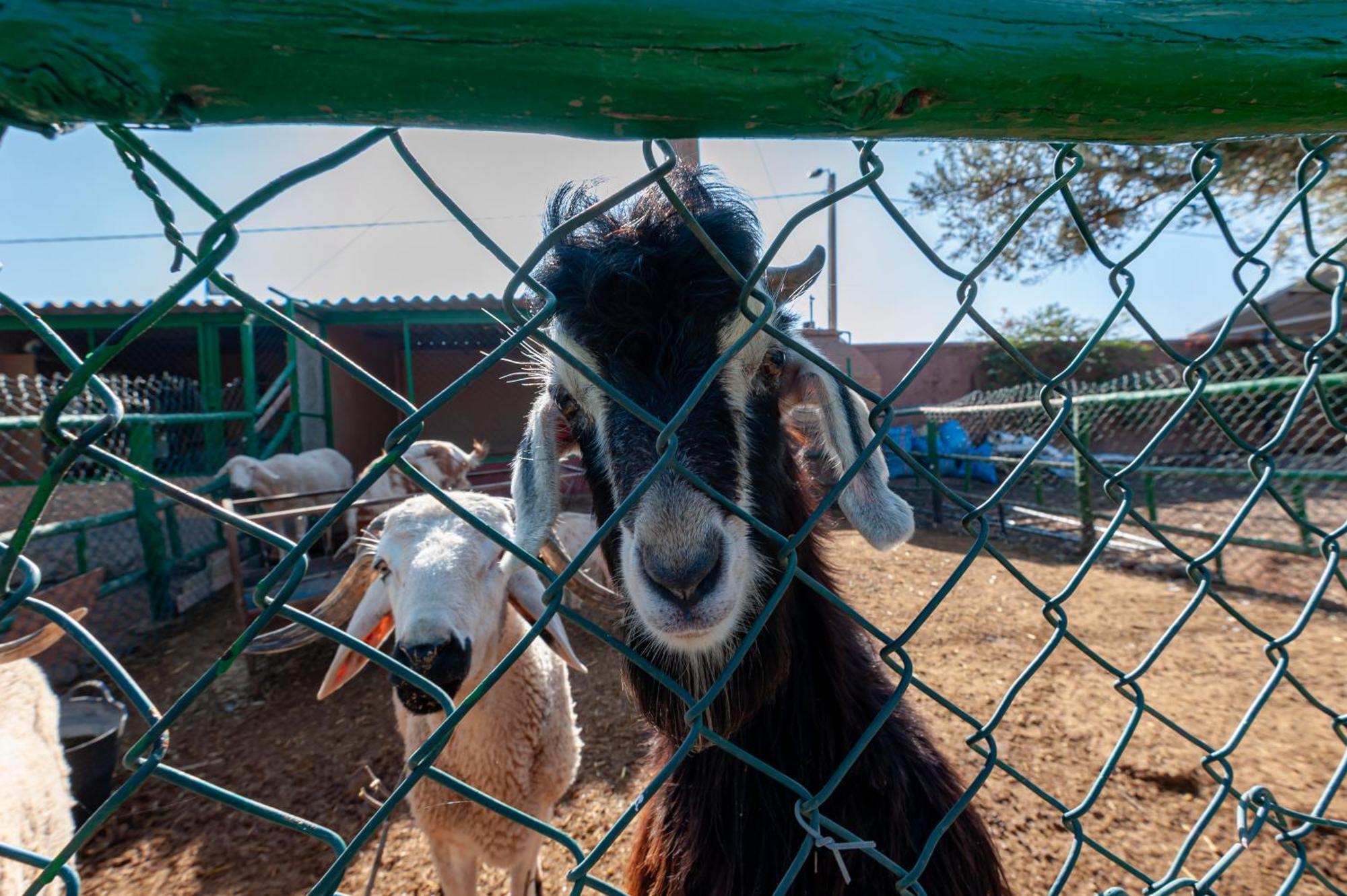 Ferme Sidi Safou & Spa มาร์ราเกช ภายนอก รูปภาพ