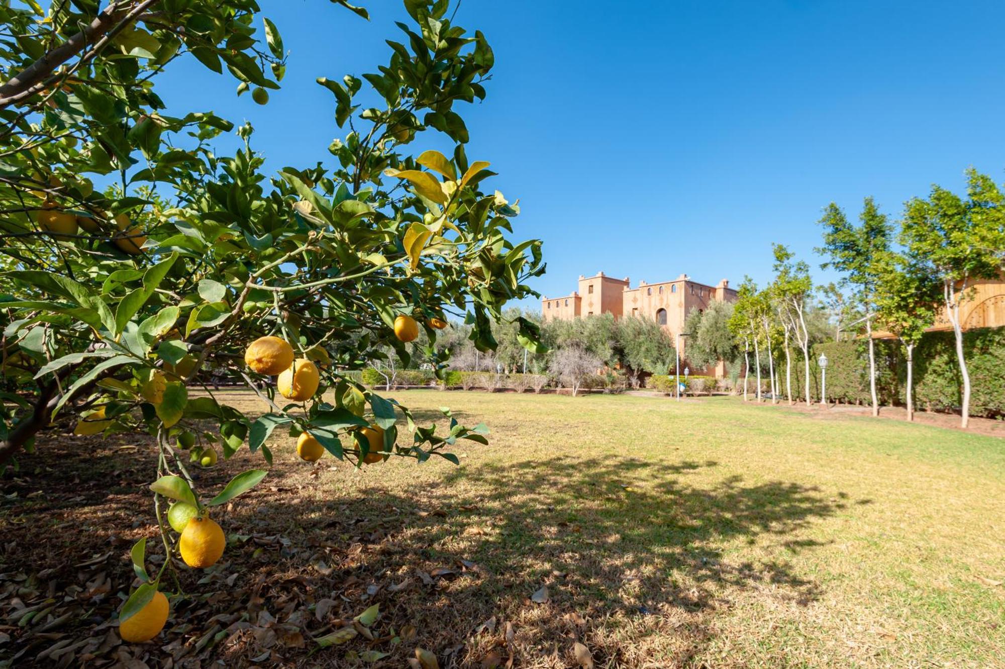 Ferme Sidi Safou & Spa มาร์ราเกช ภายนอก รูปภาพ