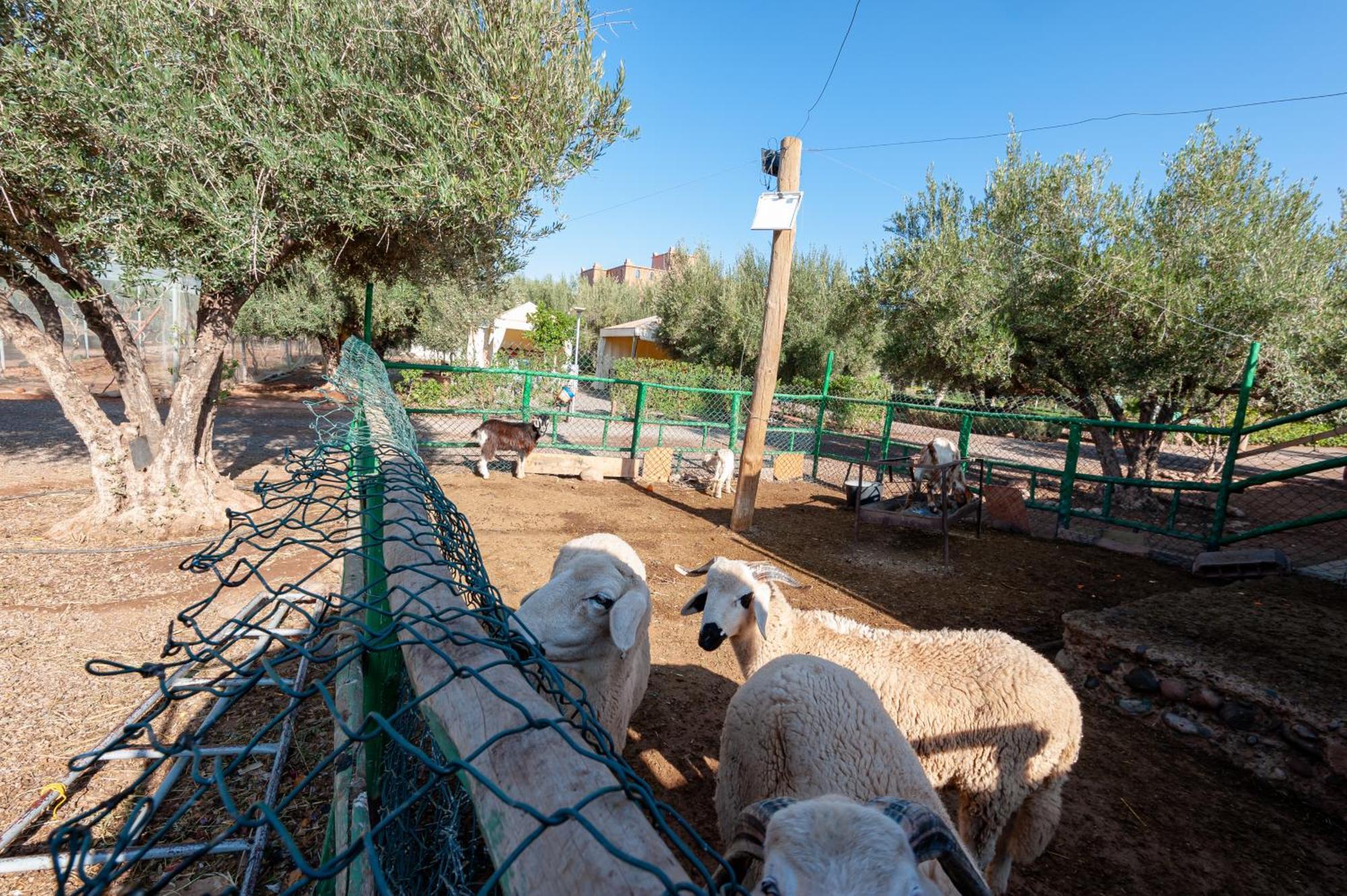 Ferme Sidi Safou & Spa มาร์ราเกช ภายนอก รูปภาพ